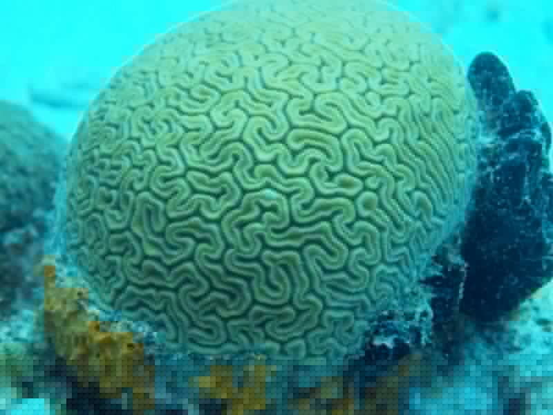 Curacao 04-12 141.jpg